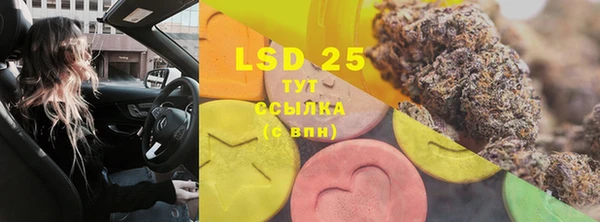 стаф Ветлуга