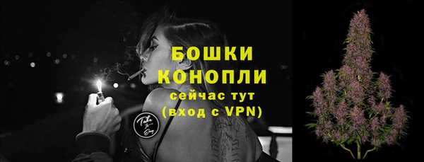 молекула духа Нея