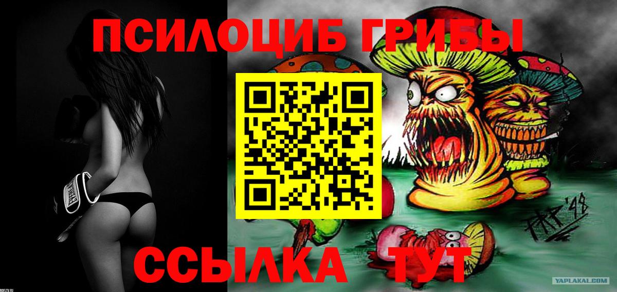 Отрадное  Псилоцибиновые грибы Psilocybe  наркошоп  Вход с VPN 