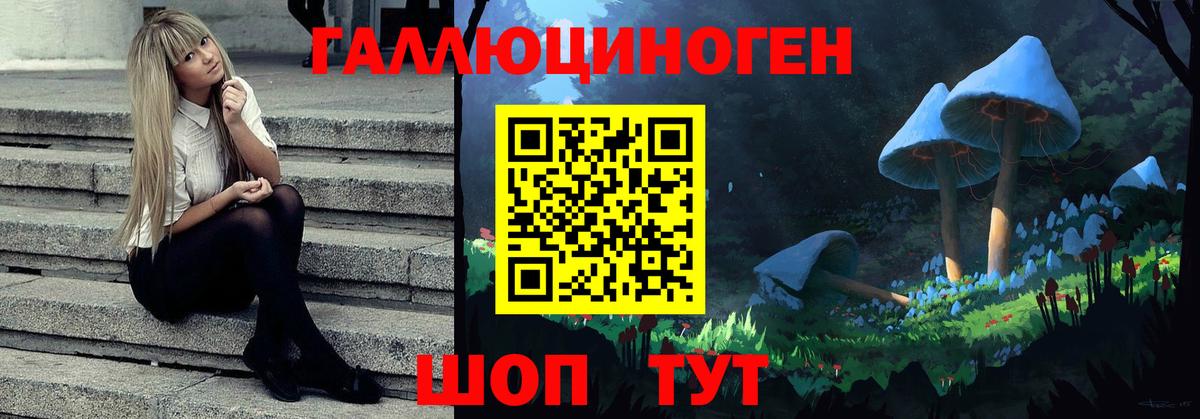 Псилоцибиновые грибы ЛСД Отрадное