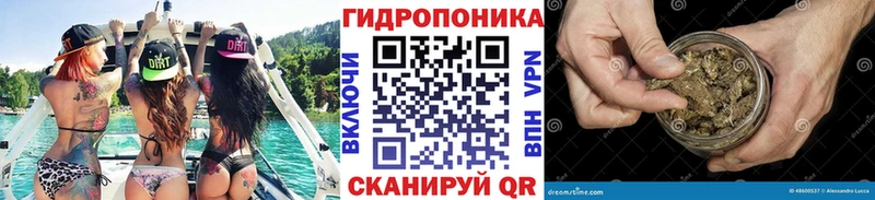 Бошки Шишки Amnesia  Отрадное 